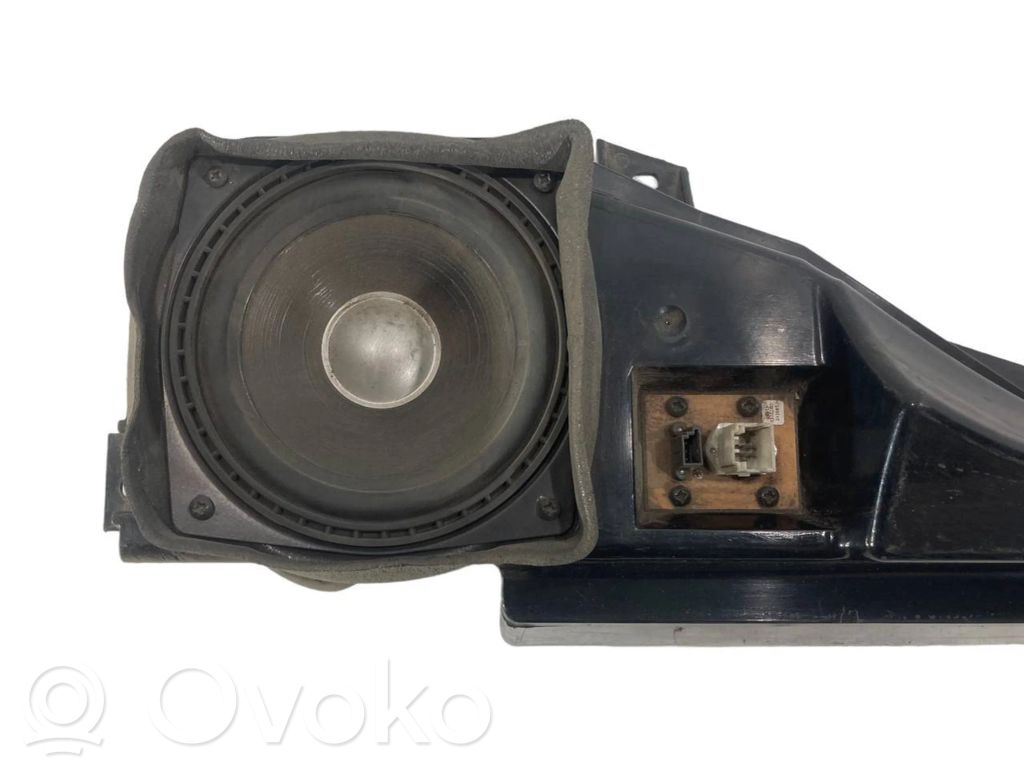 Speaker(s) in the rear door