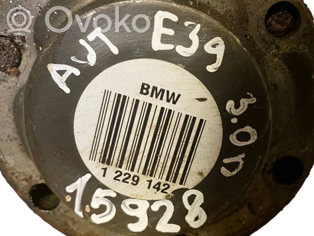 Aizmugurējā pusass