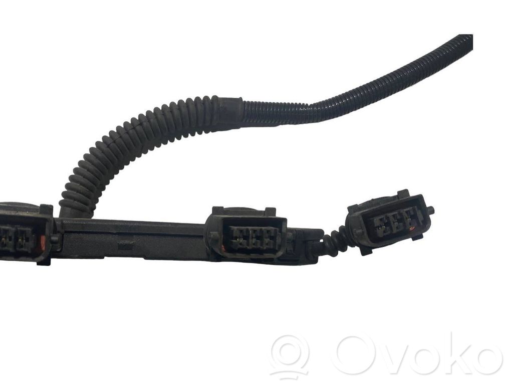 Fuel injector wires