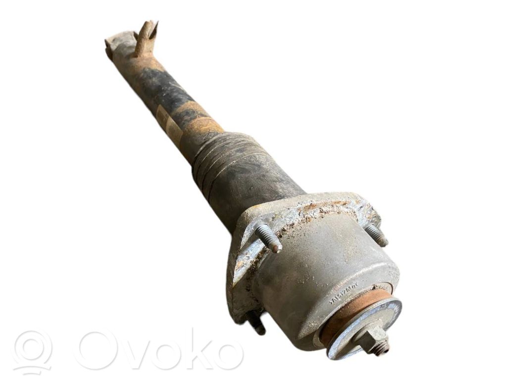 Rear shock absorber