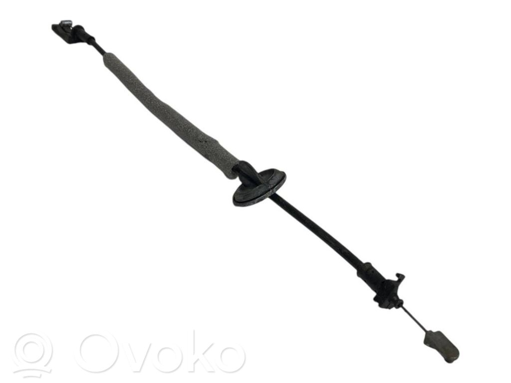 Trosīte