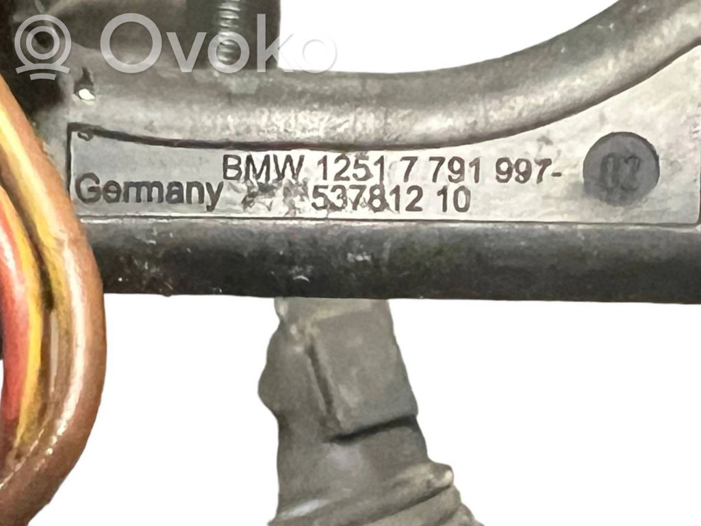 Engine wiring harness
