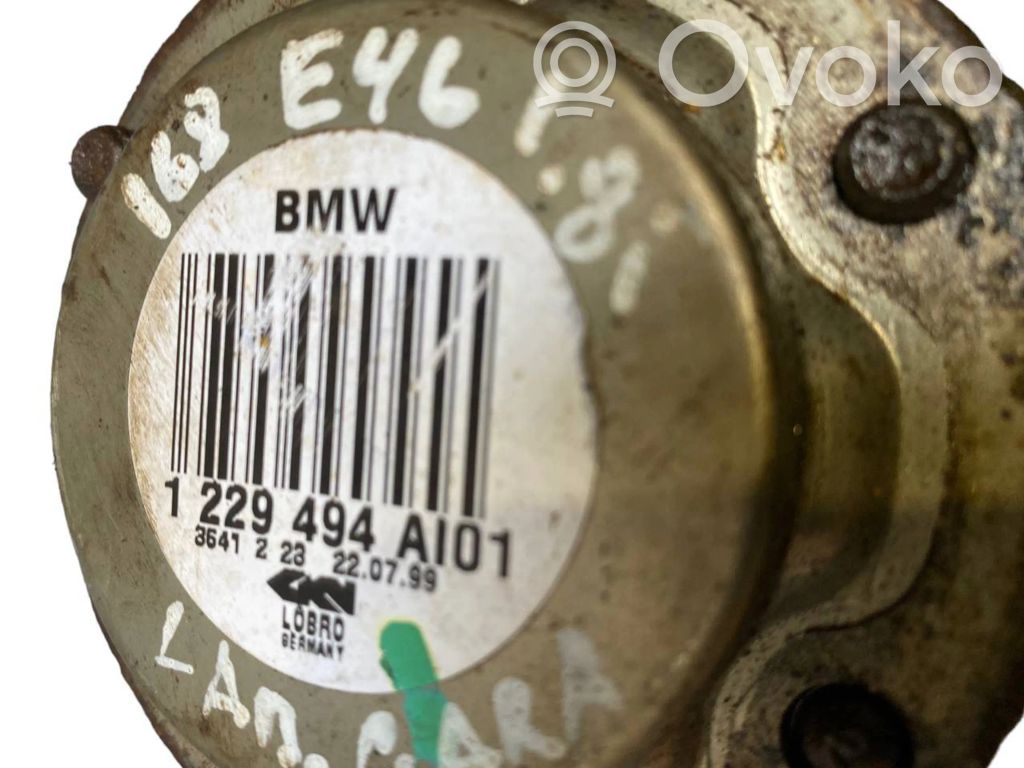 Aizmugurējā pusass