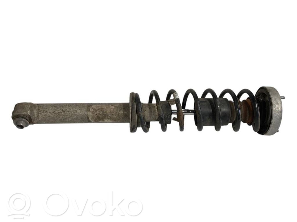 Rear shock absorber with spring