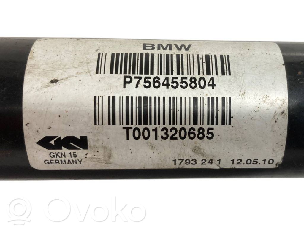 Aizmugurējā pusass