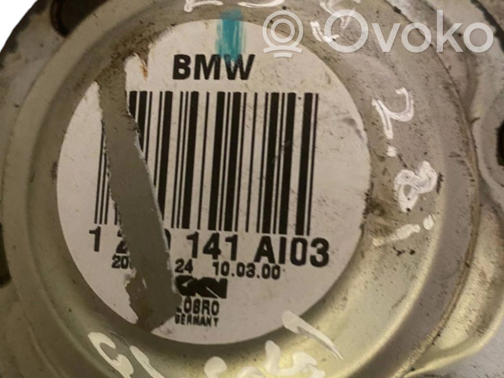 Aizmugurējā pusass