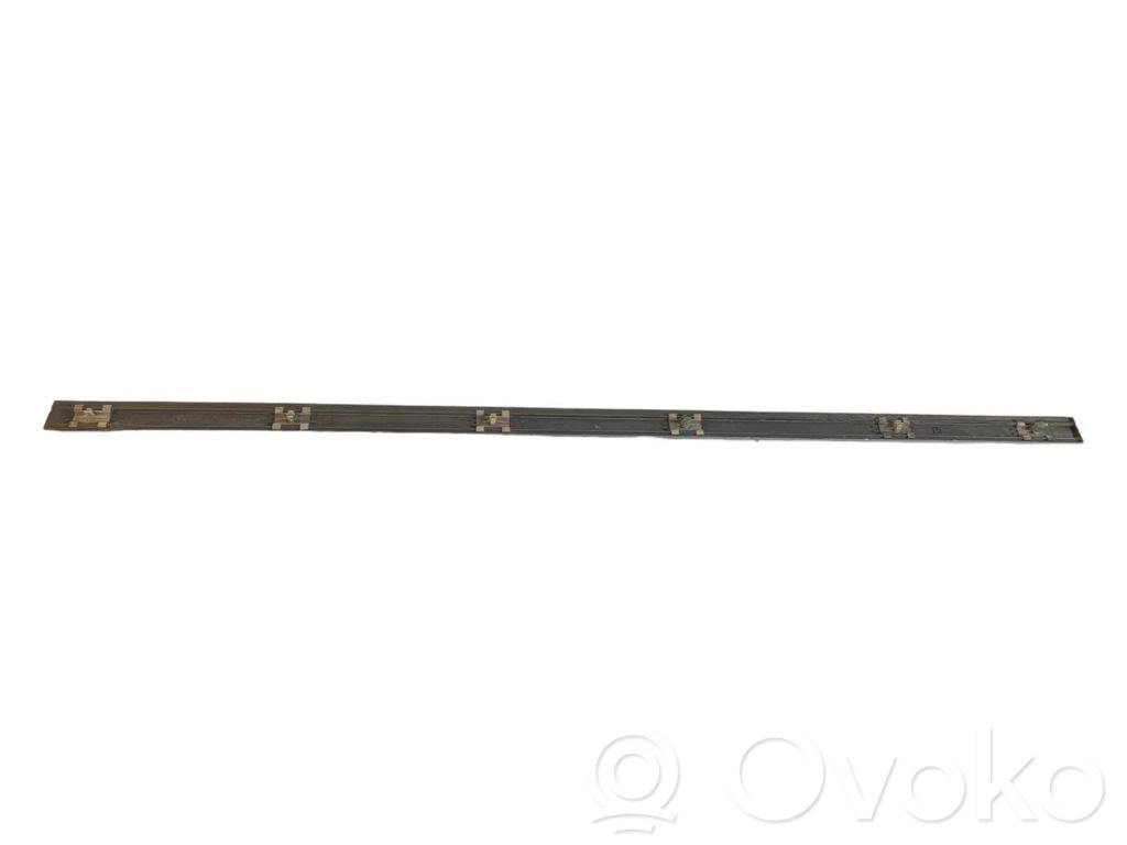 Front door decorative trim (molding)