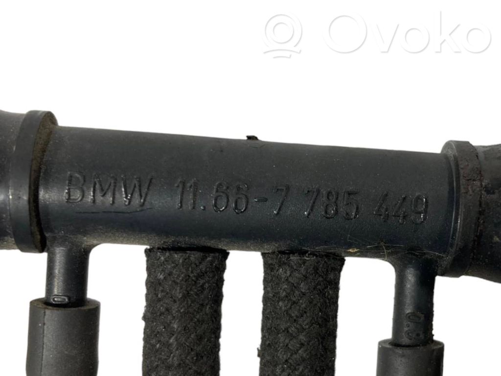 Caurulīte (-es) / šļūtene (-es)