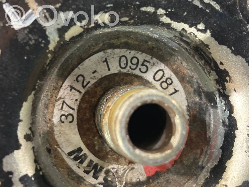 Aizmugurē gaisa spilvens