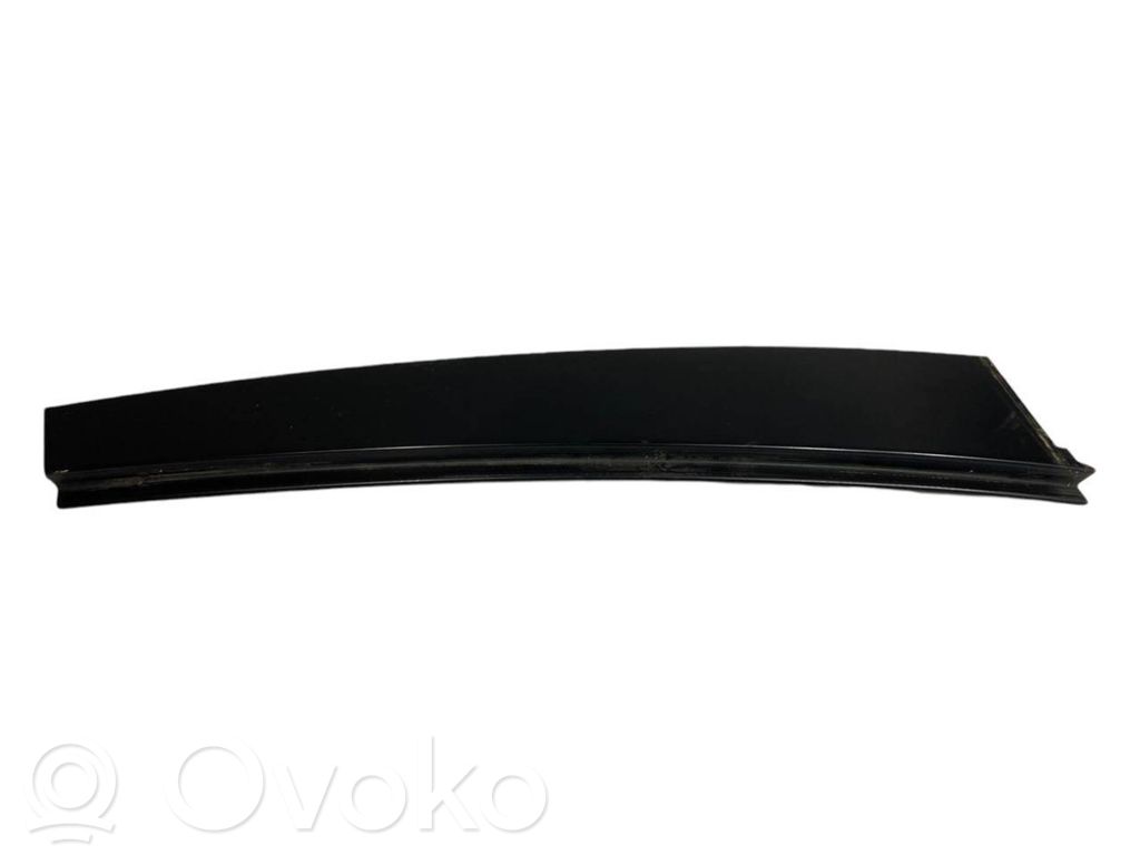 Rear door glass trim