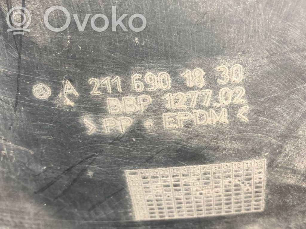 Aizmugurējais apakšspārns