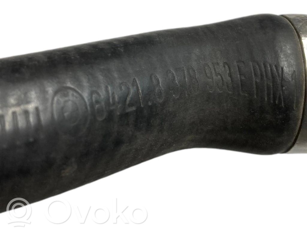 Caurulīte (-es) / šļūtene (-es)