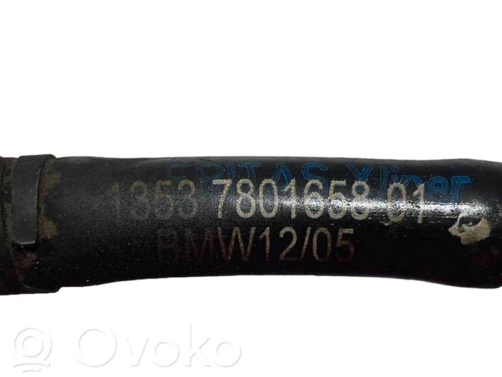 Caurule (-es) / šļūtene (-es)