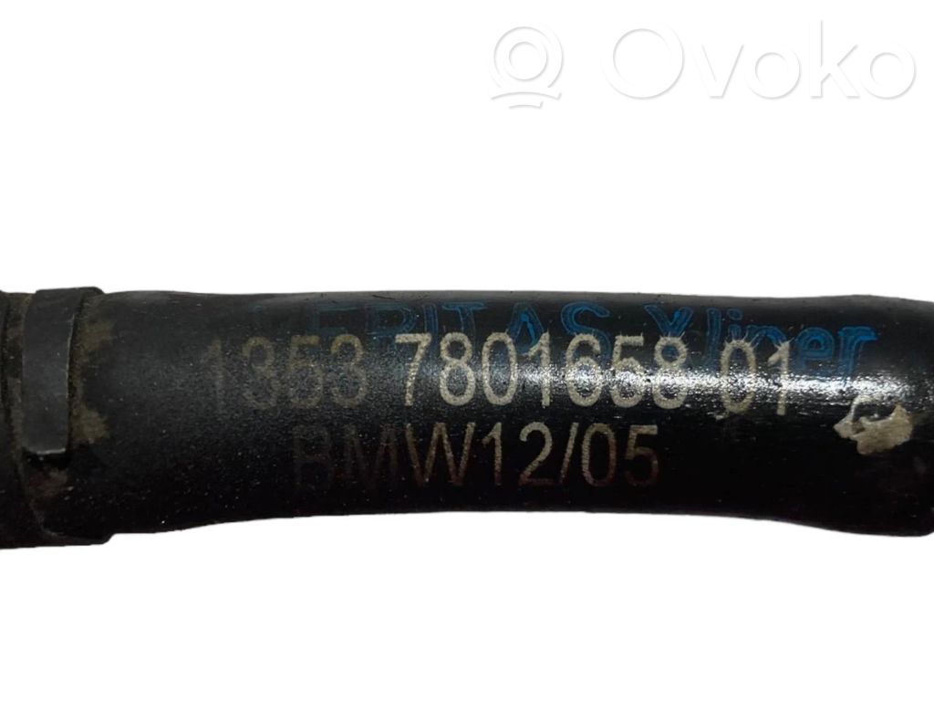 Pipe(s) / hose(s)