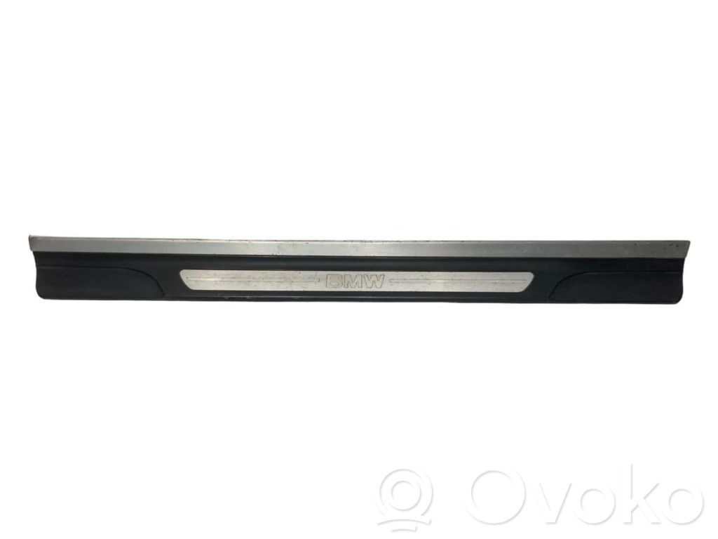 Front sill trim (inner)