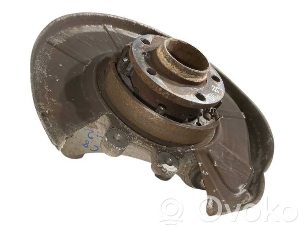 Rear wheel hub shaft joint (stupica, capfa)