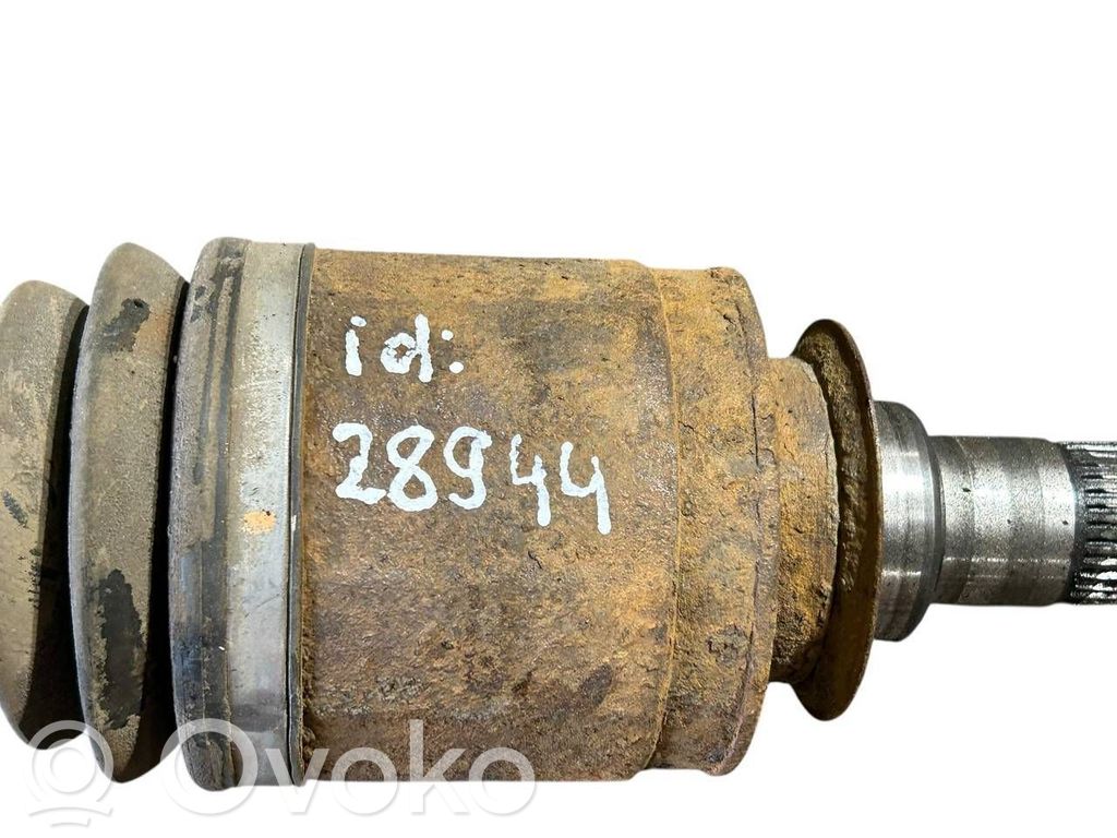 Aizmugurējā pusass