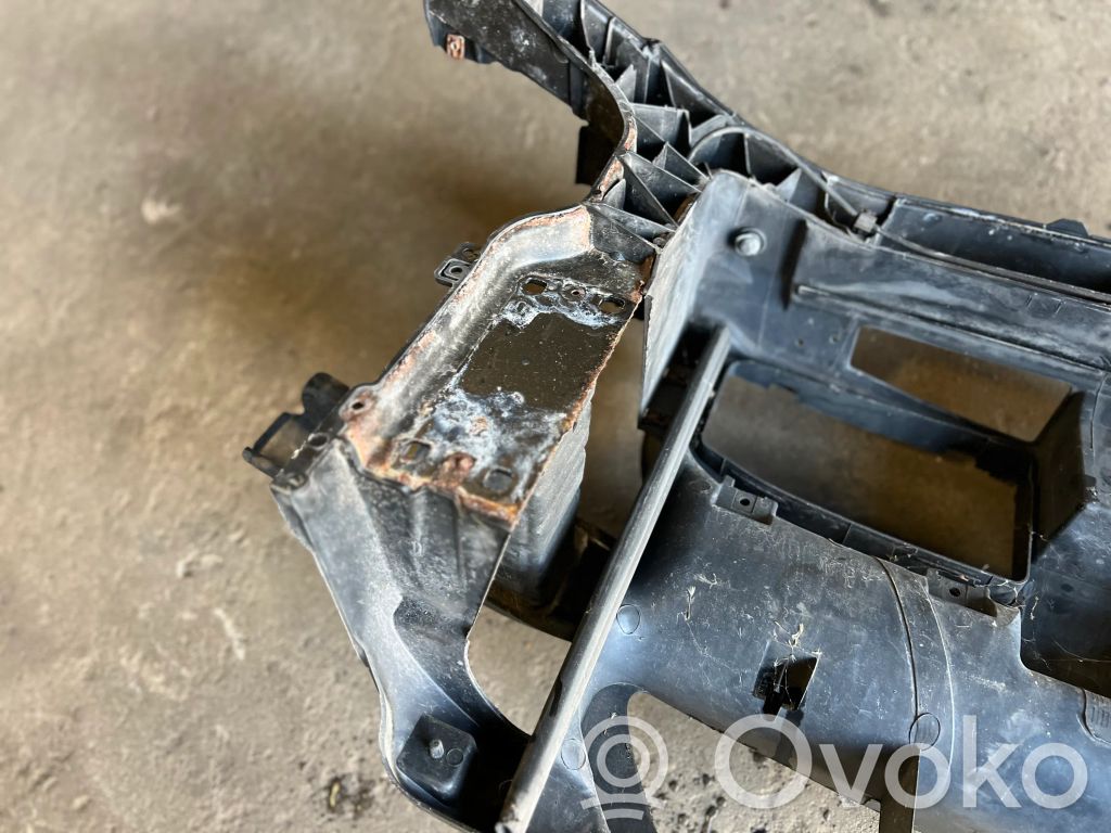 Radiator panel