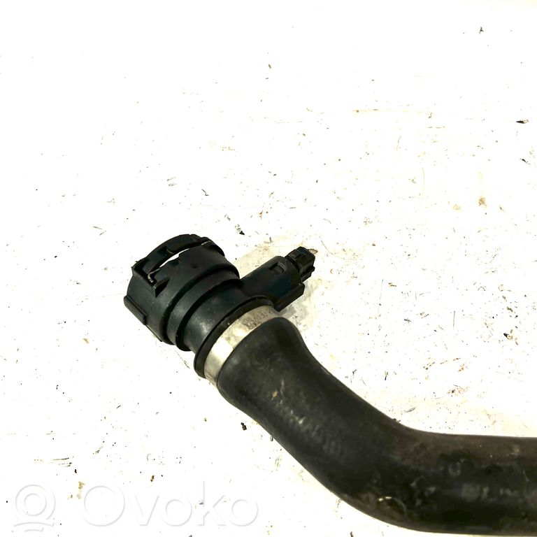 Caurulīte (-es) / šļūtene (-es)