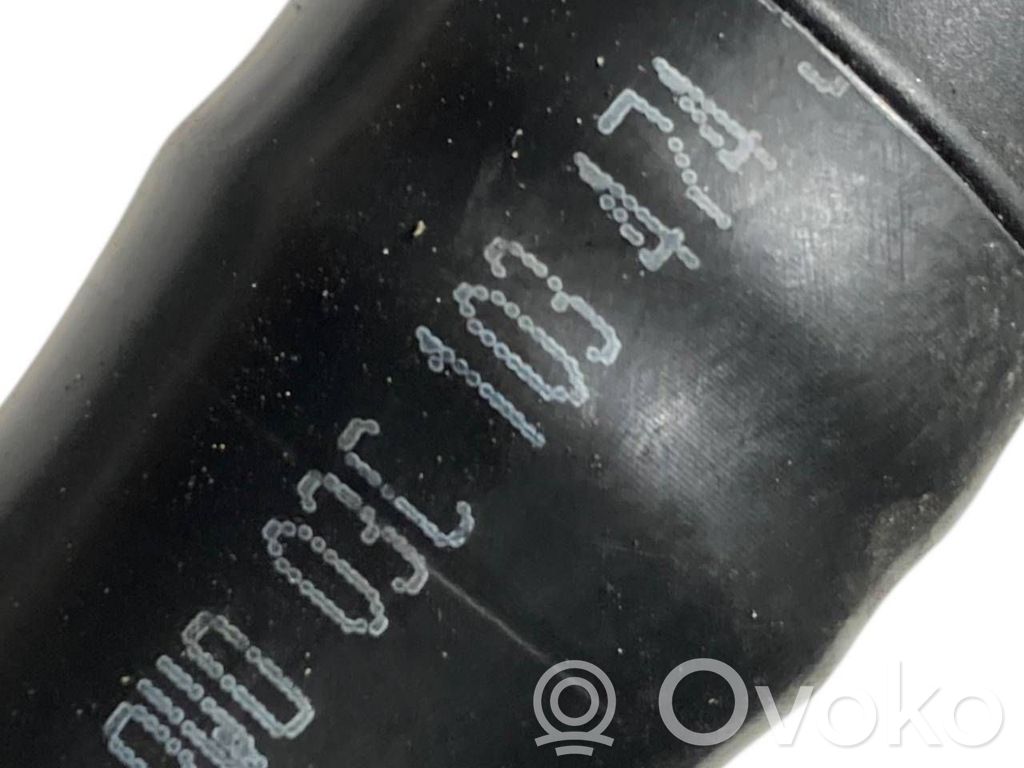 Caurulīte (-es) / šļūtene (-es)