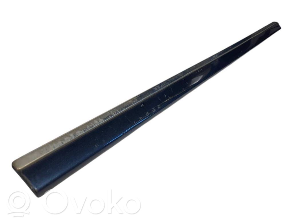 Priekšpusē durvju dekoratīvā apdare (moldings)