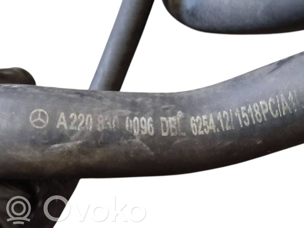 Caurulīte (-es) / šļūtene (-es)