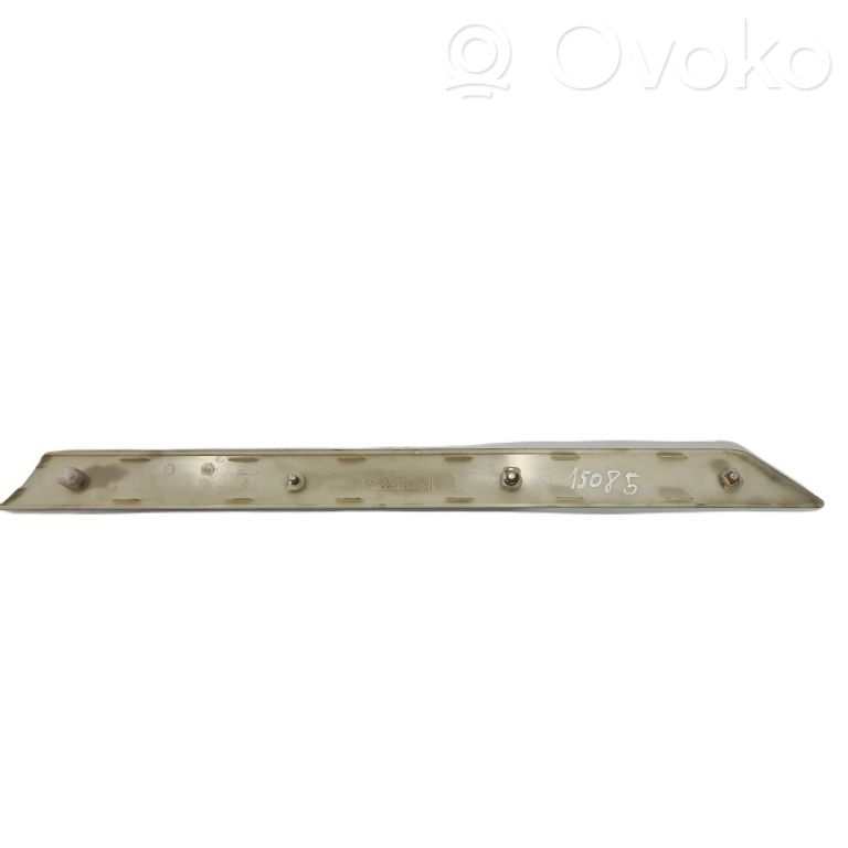 Rear door decorative trim (moulding)
