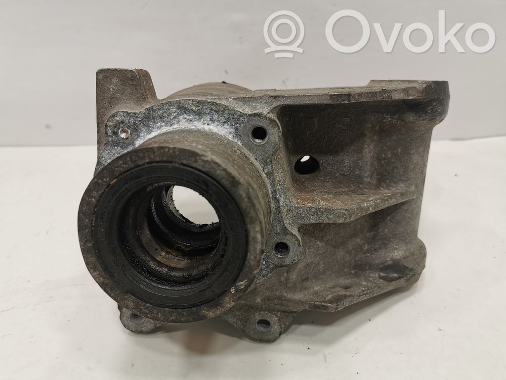 Rear wheel hub shaft joint (stupica, capfa)