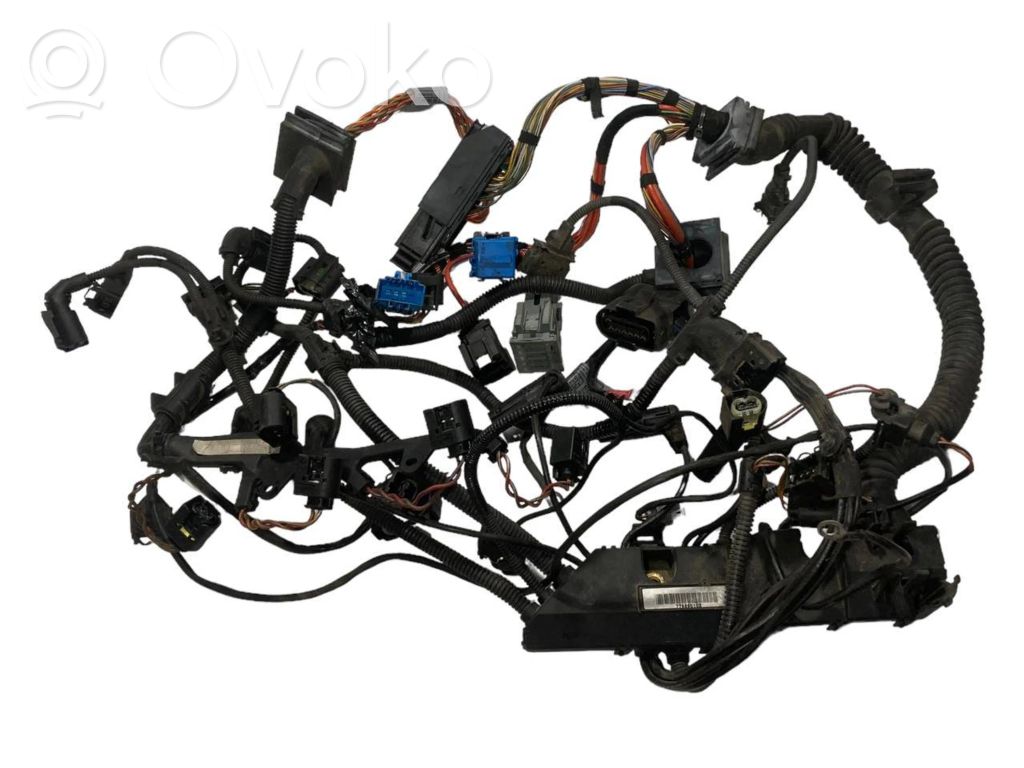 Engine wiring harness