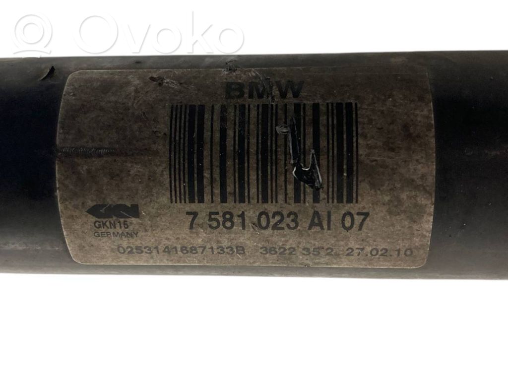 Aizmugurējā pusass