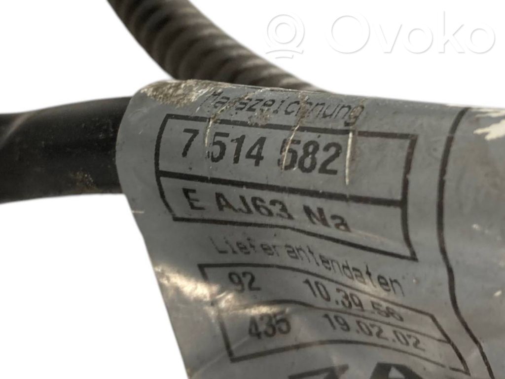 Engine wiring harness