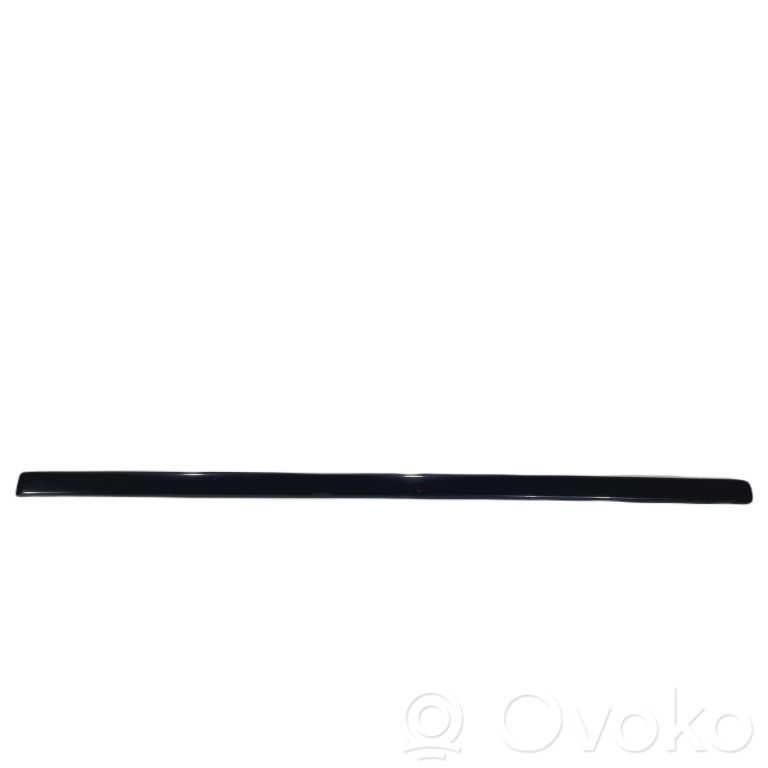 Priekšpusē durvju dekoratīvā apdare (moldings)