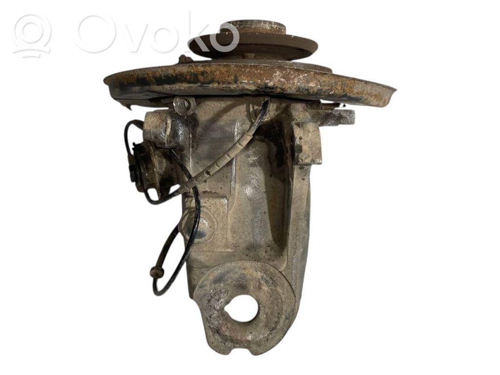 Rear wheel hub shaft joint (stupica, capfa)