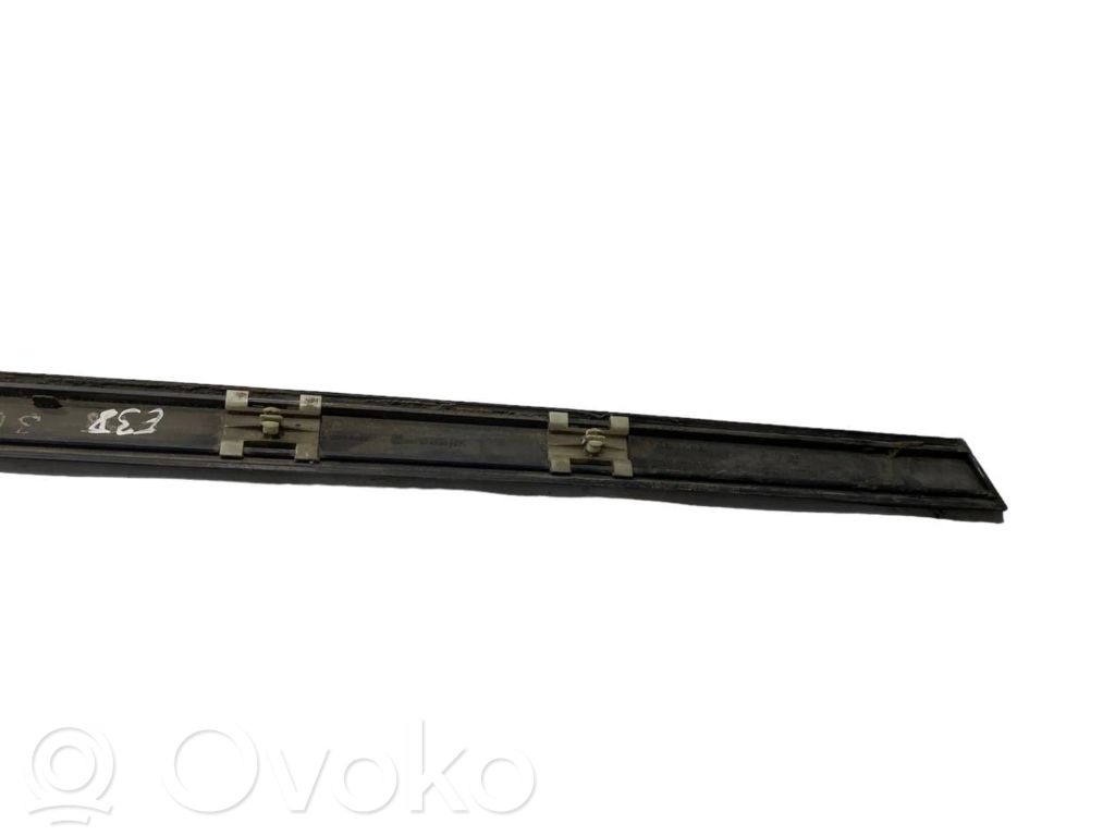 Rear door decorative trim (moulding)