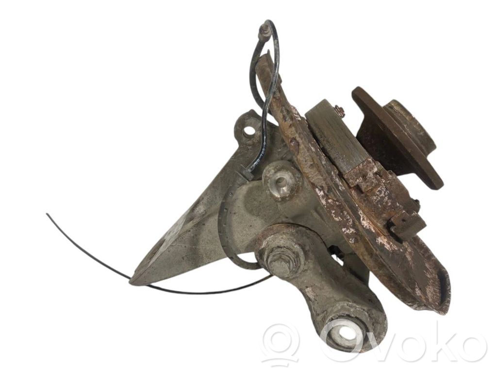 Rear wheel hub shaft joint (stupica, capfa)