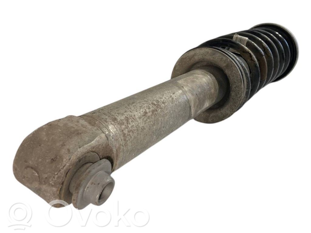 Rear shock absorber with spring