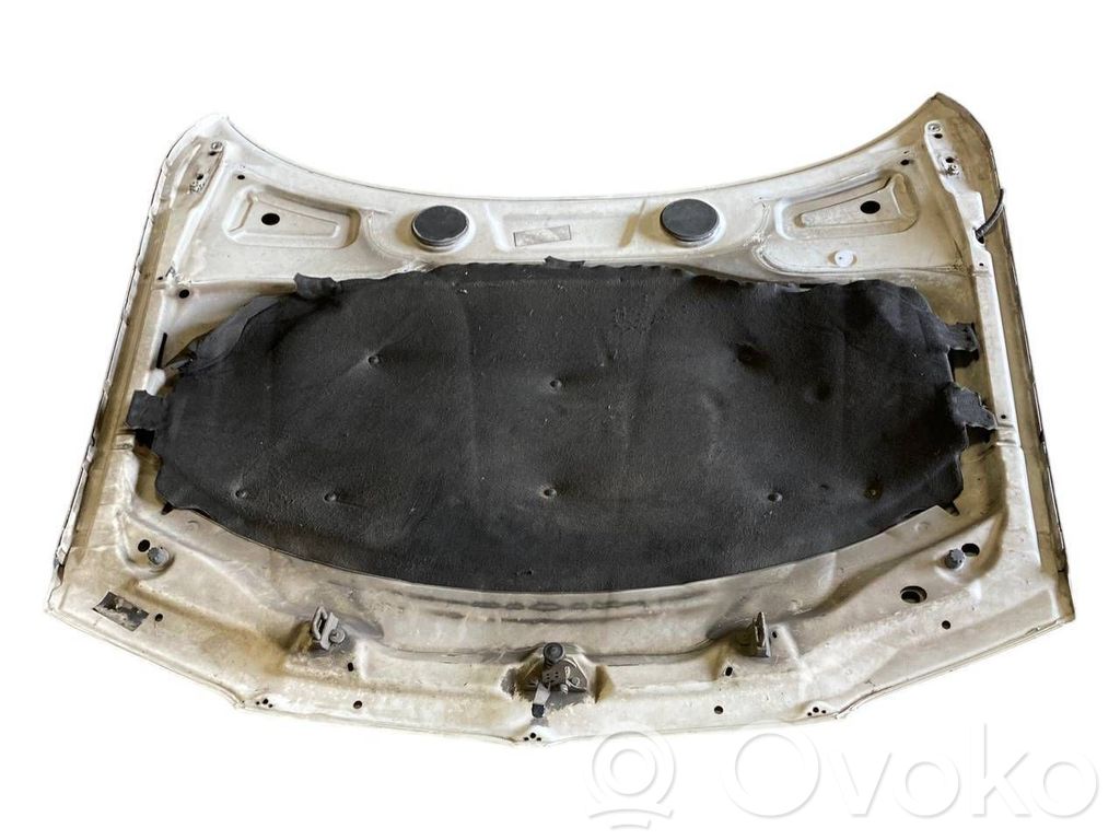 Dzinēja pārsegs (vāks)