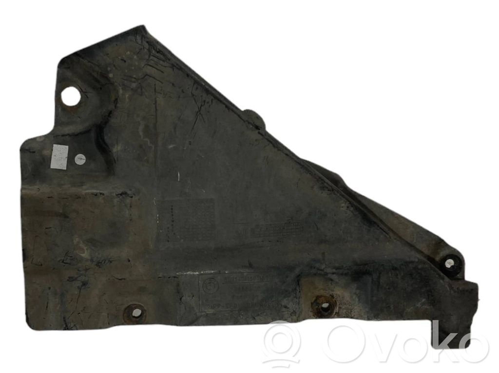 Under engine guard (front)