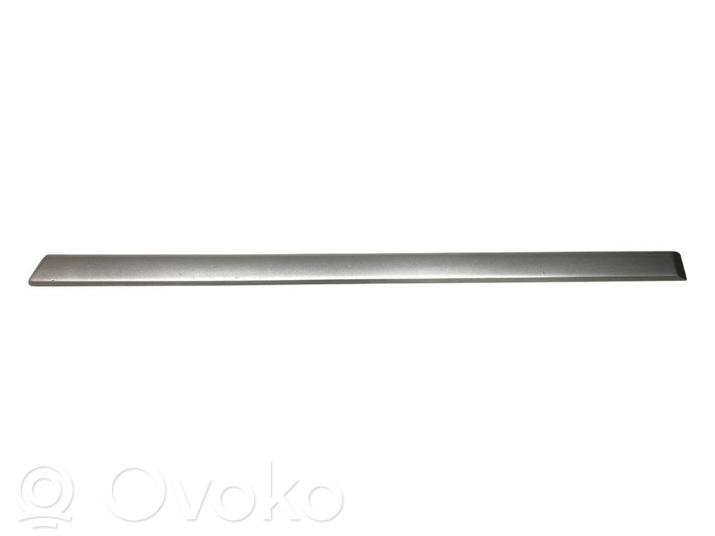 Aizmugurē durvju dekoratīvā apdare (moldings)