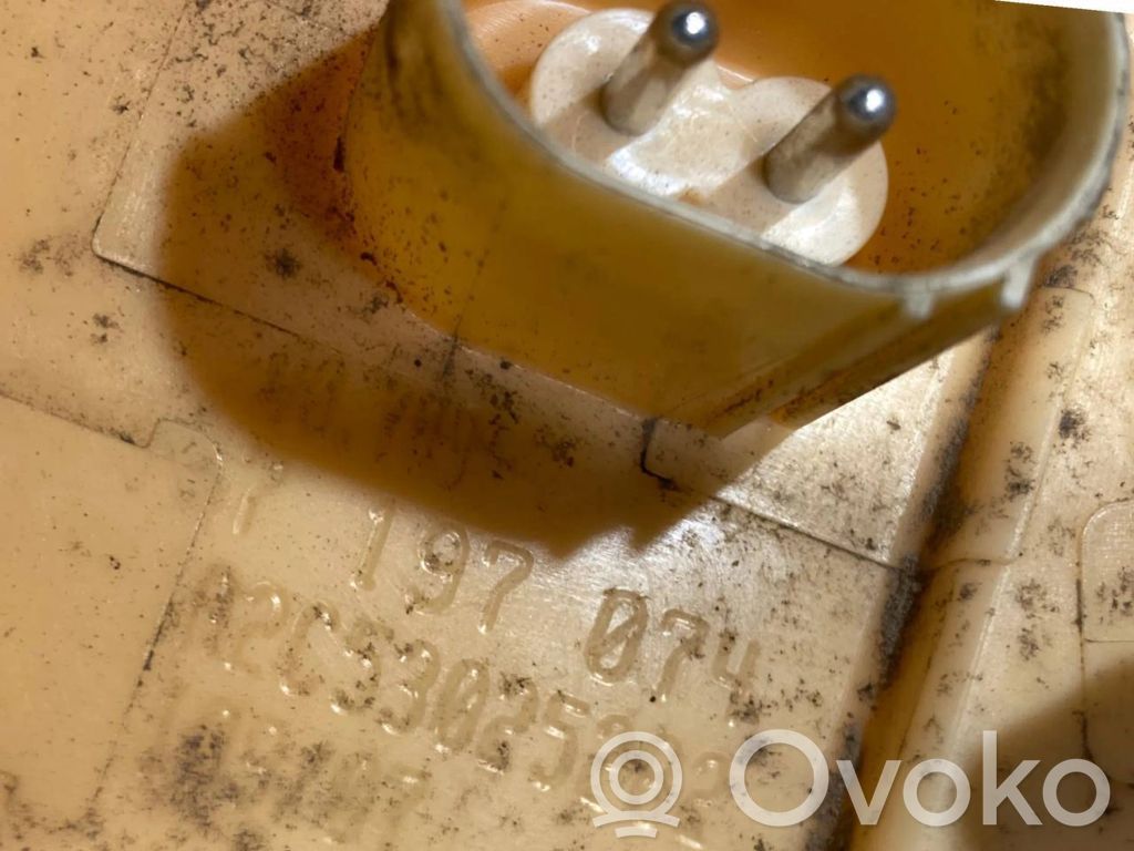 Fuel pump (in the fuel tank)