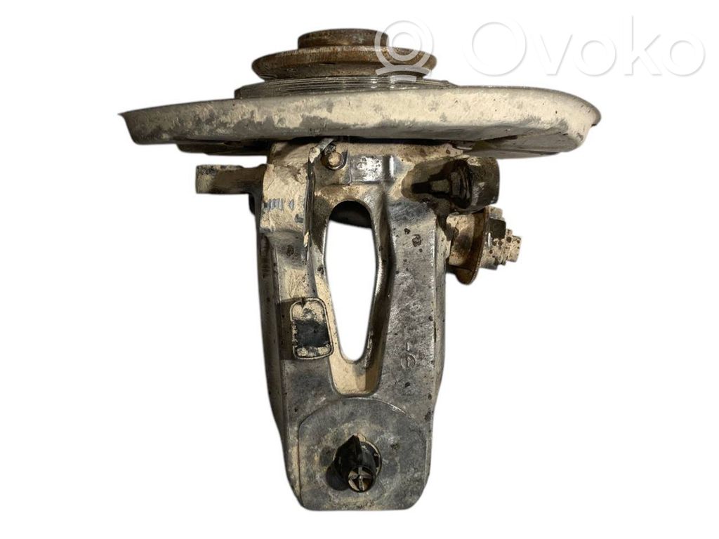 Rear wheel hub shaft joint (stupica, capfa)