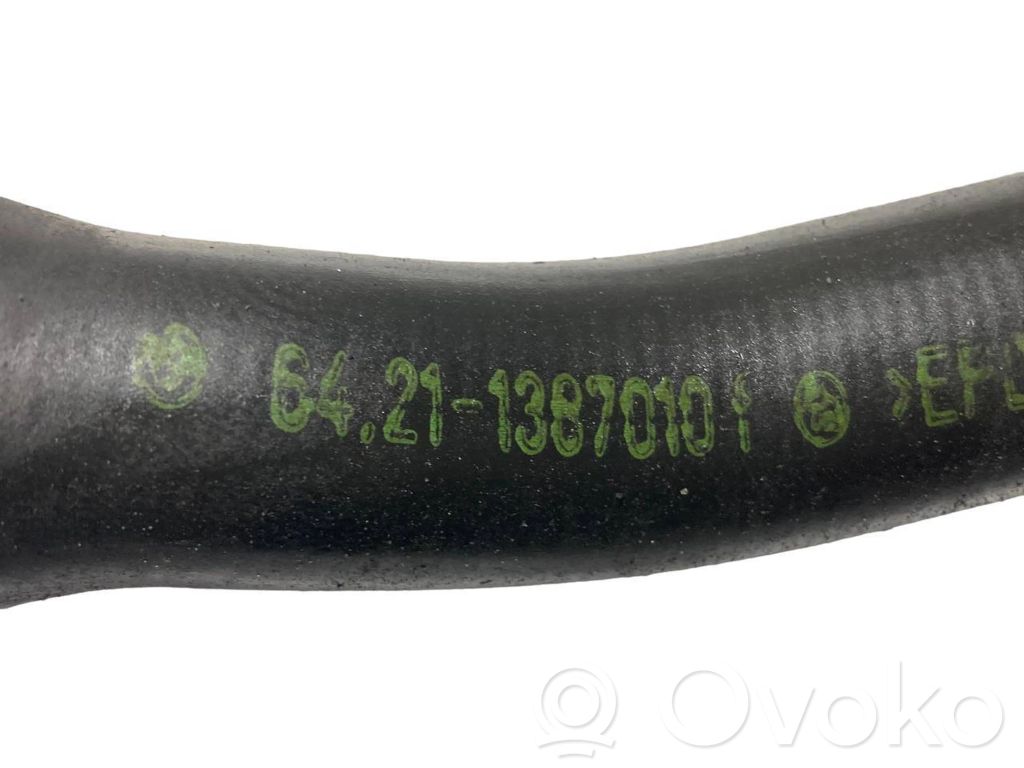 Caurulīte (-es) / šļūtene (-es)