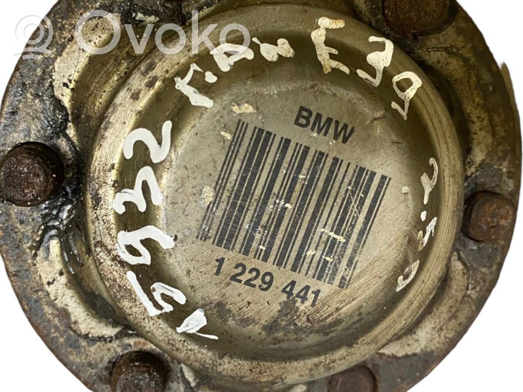 Aizmugurējā pusass