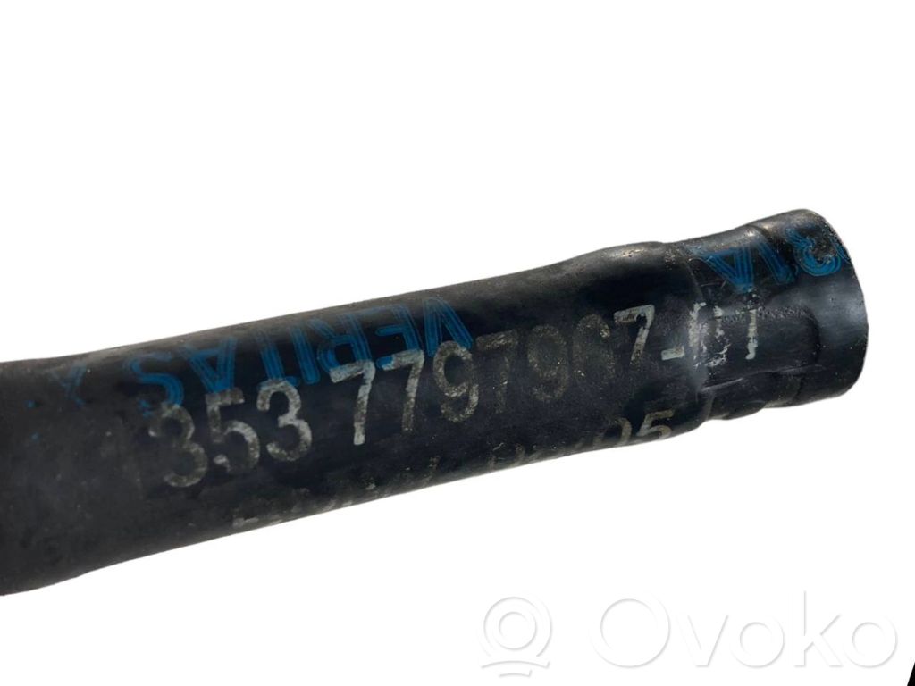 Degvielas caurulīte (-es)