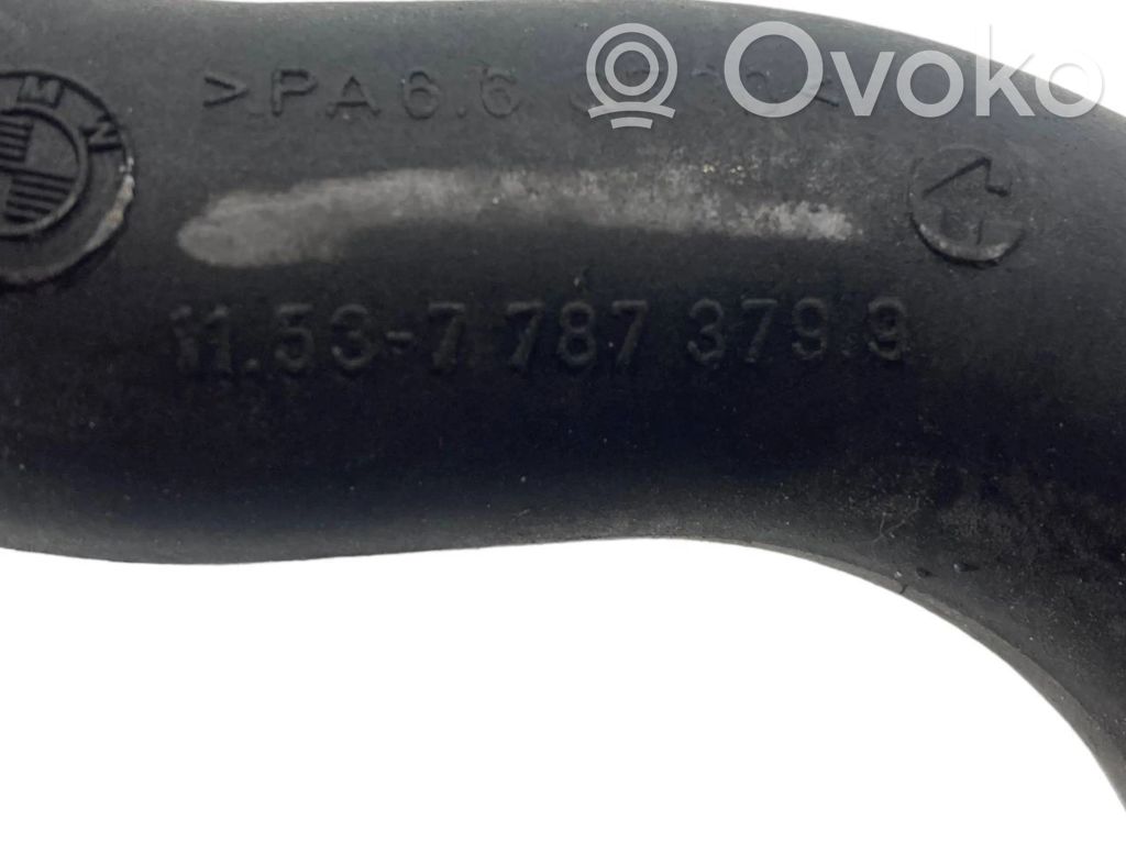 Caurulīte (-es) / šļūtene (-es)