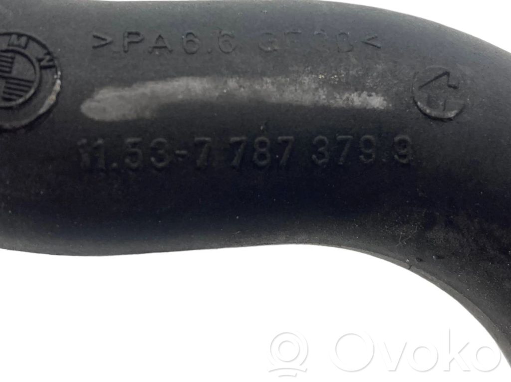 Caurulīte (-es) / šļūtene (-es)