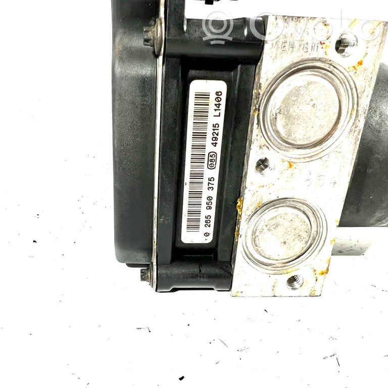 ABS unit