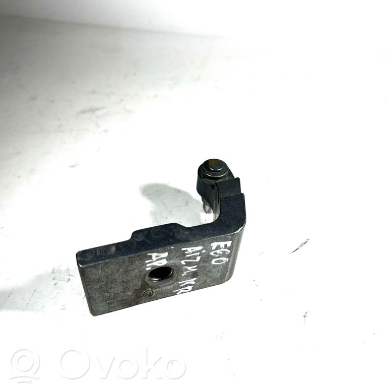 Rear lower hinge