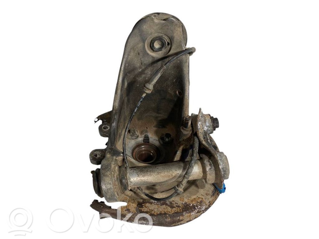 Rear wheel hub shaft joint (stupica, capfa)