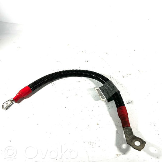 Plusa vads (akumulatora)